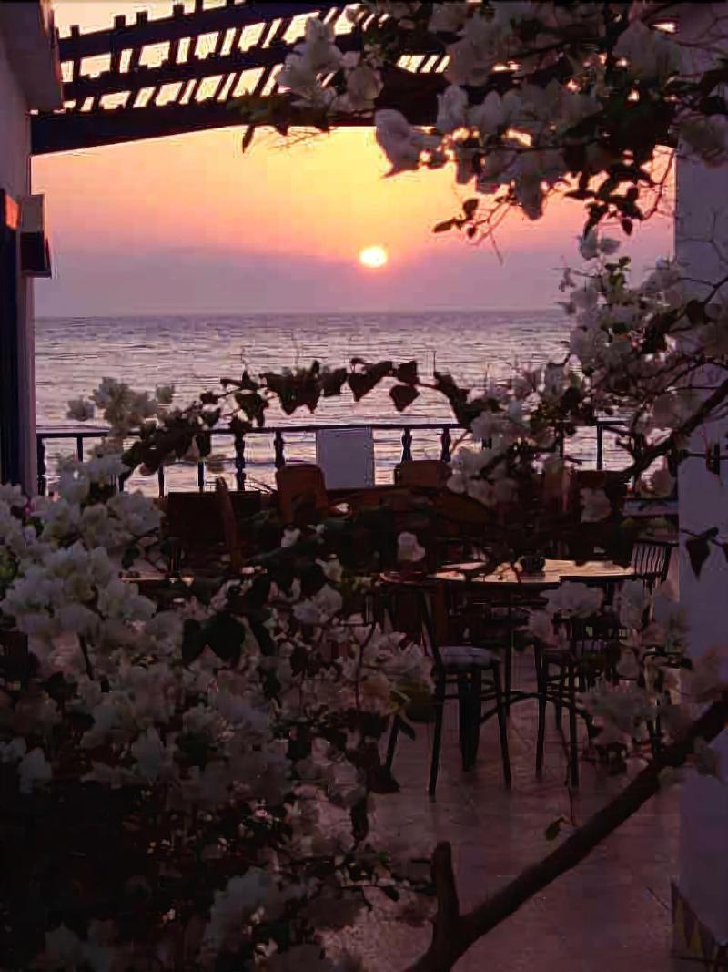 Neptune Hotel ดาฮับ ภายนอก รูปภาพ